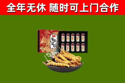 安徽省烟酒回收冬虫夏草礼盒.jpg